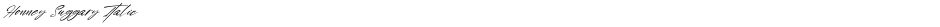 Honney Suggary ItalicDemo