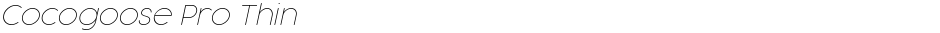 Cocogoose Pro ThinDemo