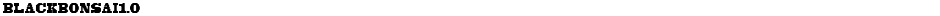 BLACKBONSAI1.0Demo