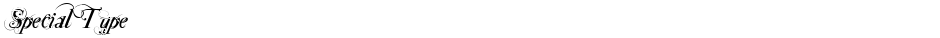 Special TypeDemo