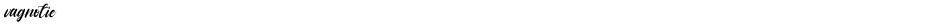 vagnotieDemo