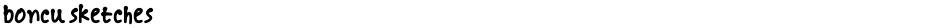 boncu sketchesDemo