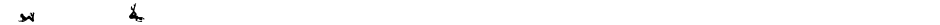 N0RPICONS1Demo