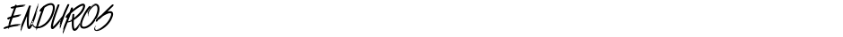 ENDUROSDemo