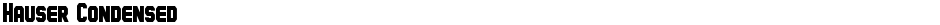 Hauser CondensedDemo