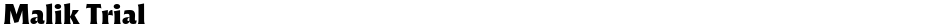 Malik TrialDemo