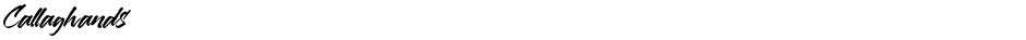 CallaghandsDemo