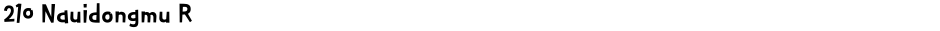 210 Nauidongmu RDemo