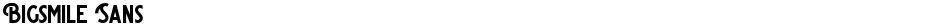 Bigsmile SansDemo