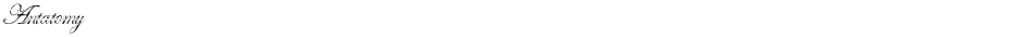 AntatomyDemo