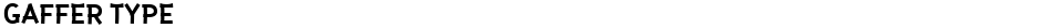 Gaffer TypeDemo