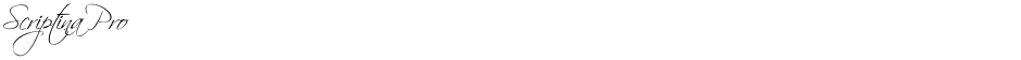 Scriptina ProDemo