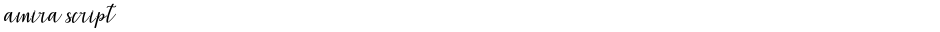 amira scriptDemo