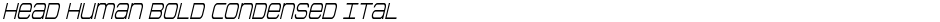 Head Human Bold Condensed ItalDemo