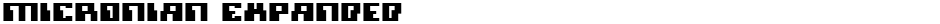 Micronian ExpandedDemo