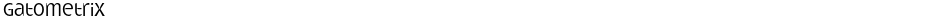 GatometrixDemo
