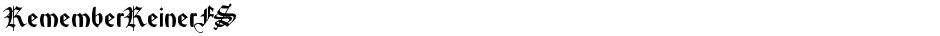 RememberReinerFSDemo