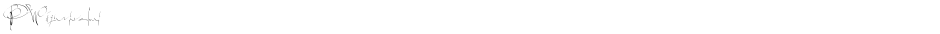 PWsignaturefontDemo