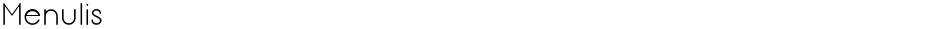 MenulisDemo
