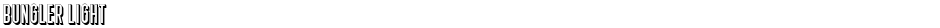 Bungler LightDemo