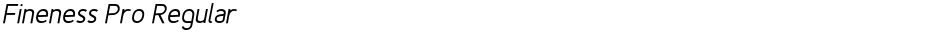 Fineness Pro RegularDemo