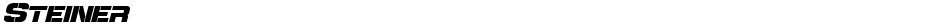 SteinerDemo