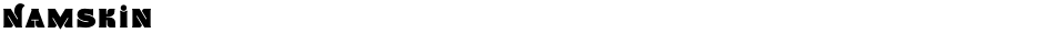 NamskinDemo