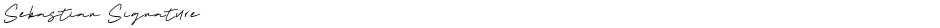 Sebastian SignatureDemo