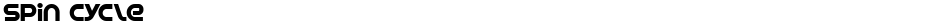 Spin CycleDemo