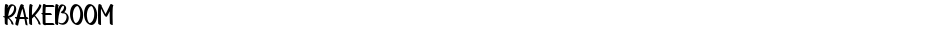 RAKEBOOMDemo