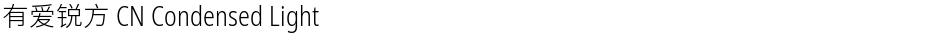 有爱锐方 CN Condensed LightDemo