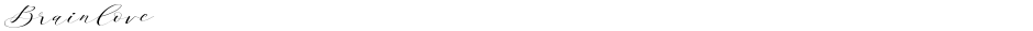 BrainloveDemo