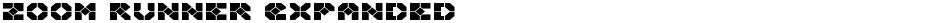 Zoom Runner ExpandedDemo