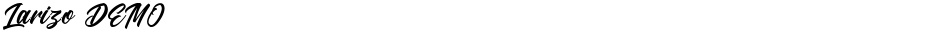 Larizo DEMODemo