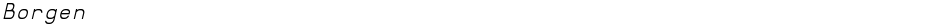BorgenDemo