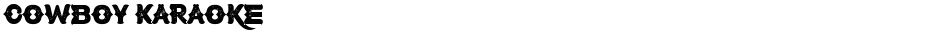 Cowboy KaraokeDemo