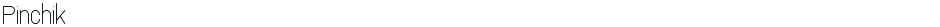 PinchikDemo