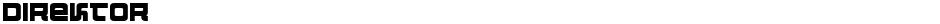 DirektorDemo
