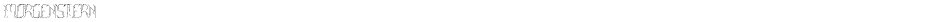 MorgensternDemo