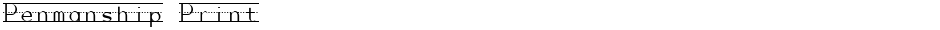 Penmanship PrintDemo