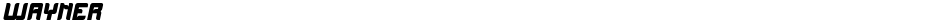 WAYNERDemo
