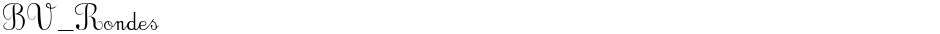 BV_RondesDemo