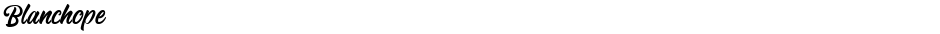 BlanchopeDemo