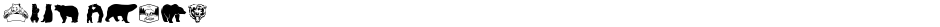 Bear IconsDemo