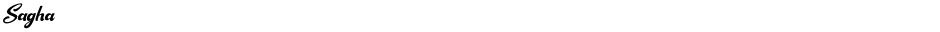 SaghaDemo