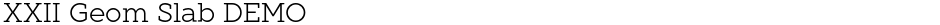 XXII Geom Slab DEMODemo