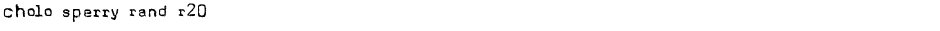 Cholo Sperry Rand R20Demo