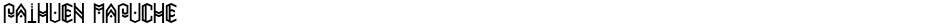 Paihuen MapucheDemo