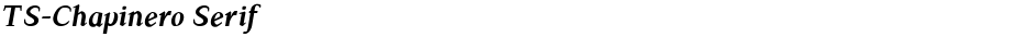 TS-Chapinero SerifDemo
