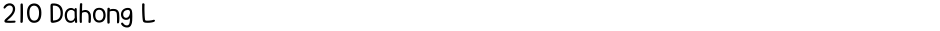 210 Dahong LDemo